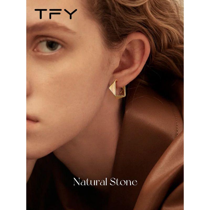 Geometric Metal Hoop Earrings for Women 2026 New Popular Style High-End Pure Silver Needle European and American Niche Design Earrings