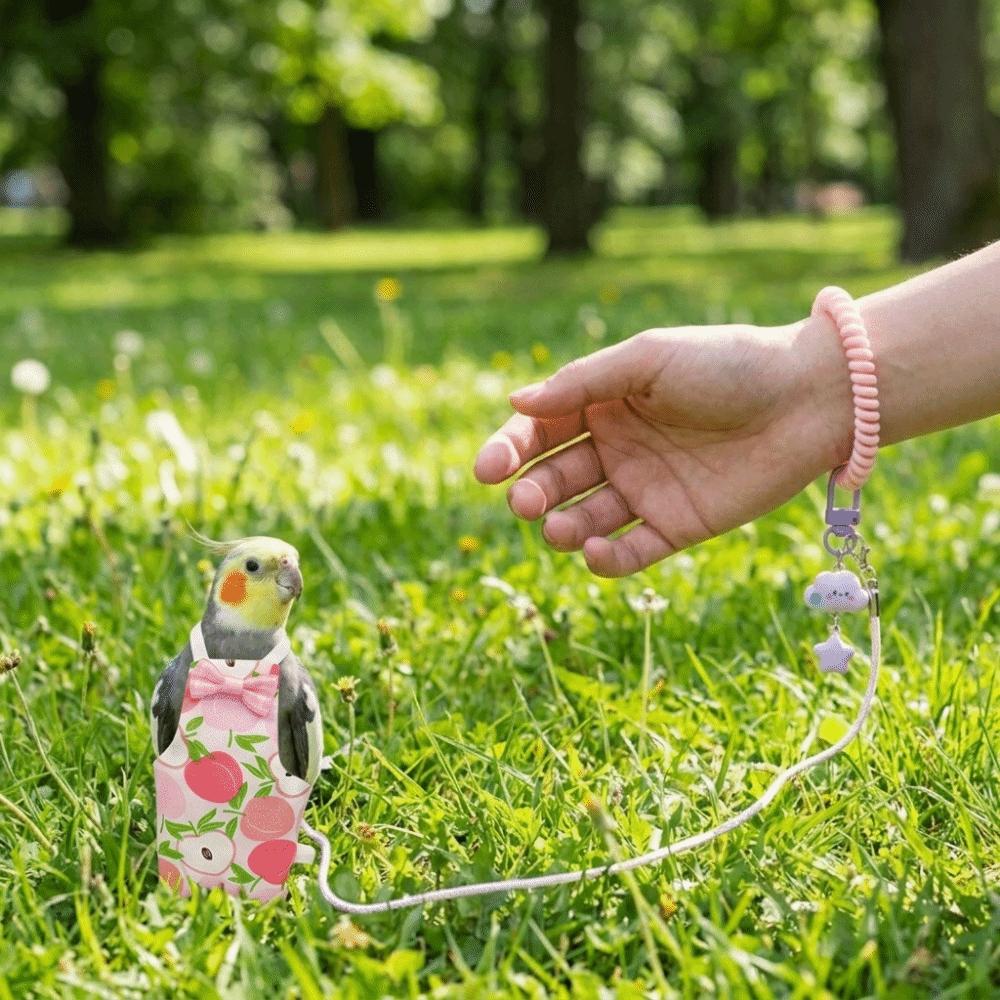 Adjustable Pet Parrot Diaper Escape-Proof Parrot Flying Clothes Bird Flight Suits  Outdoor Flying