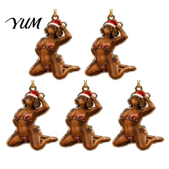 Novelty Christmas Tree Accessories 5 Pcs Quirky Bikini Ornament, Funny 2D Acrylic Santa Claus Horse Clear Printed Baubles Dachshund Highland