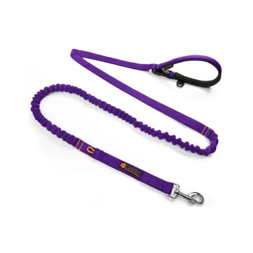 JoQu® Two Runners Leash with Shock Absorber, Purple