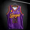 2026 NEW Senegal #12 Basketball Jersey, Lion Print Mesh Sleeveless Tank Top, National Team Fan Athletic Vest for Men