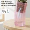 Plastic Self-Watering Flower Pots Root View Nursery Pots New Hydroponic Planters  Succulent Growing