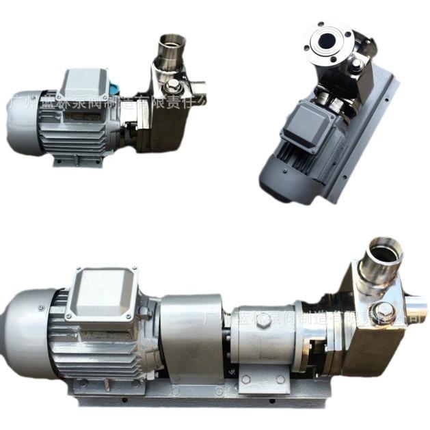 Stainless Steel Explosion-Proof Corrosion-Resistant Chemical Wastewater Circulation Pump 40WB6-19