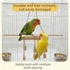 Non-slip Parrot Wooden Swing Bite Resistant Parrot Play Stand Toy Bird Standing Perch  Training