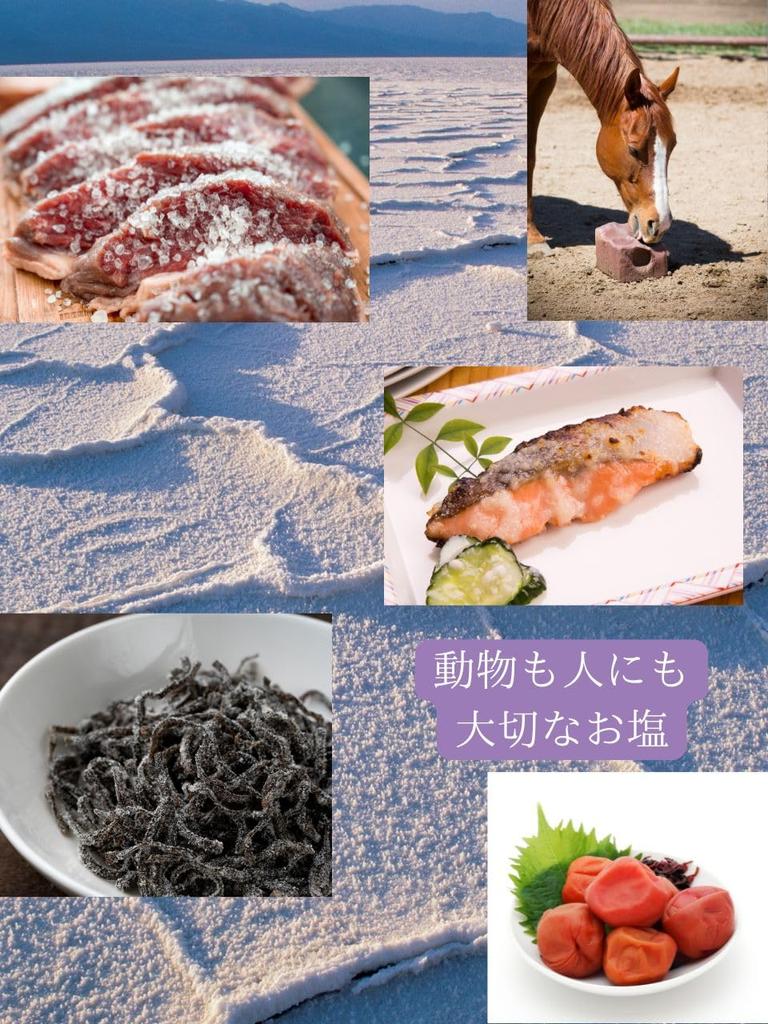 Shinpo Salt 500g Natural Salt Salt Rich In Minerals Delicious Salt 2 Pocket Tissue (Shinpo Salt) (500gX Bags) +CIWS