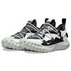 Nike ACG Mountain Fly Водонепроницаемые Низкие Уличные Ботинки Унисекс Белый Черный DO9334-100