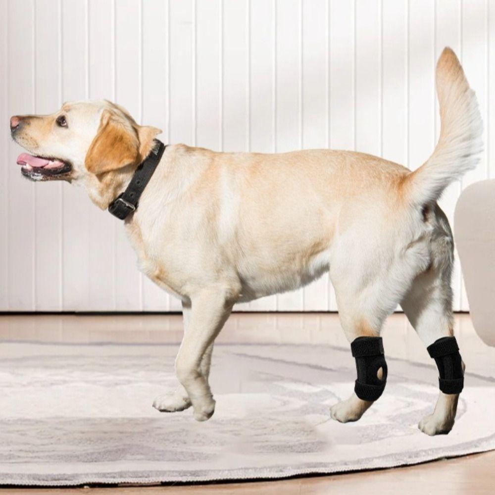 Adjustable Pet Joint Protection Covers Comfortable Breathable Dog Knee Brace Rear Leg Brace Dog Knee Pads Leg Injury Care