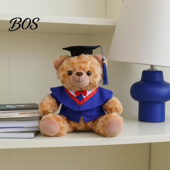 Luxury Gift Packaging Bear Personalized Graduation Gifts 2026 for Her, Cute Teddy with Embroidered Gown Award And Cap, Soft Plush Mascot College High