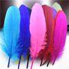 Hard Pole Natural Goose Feathers For Crafts Plumes 6-8Inch/15-20Cm Jewelry Duck Pheasant Feather Wedding Home Decoration