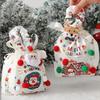 Christmas Eve Apple Packaging Bag 2025 New Fruit Gift Bag Gift Holders Children's Handheld Candy Bag