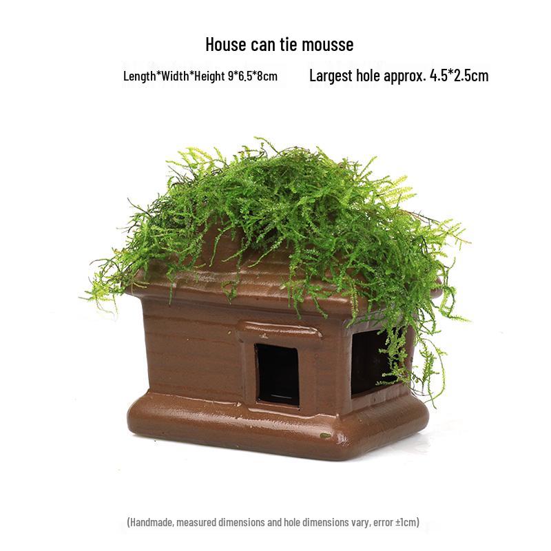 Aquatic Plant Moss Hideaway: Real Plant Jar for Fish & Shrimp