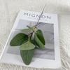 10 шт. Прямые продажи Имитация Эвкалипта Одиночный Плод Лист Монетки Композиция Искусственный Лист Эвкалипта Украшение