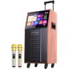SANSUI PC085 Уличная KTV-колонка на тележке с 17-дюймовым дисплеем, штепсель CN (адаптер в комплекте)