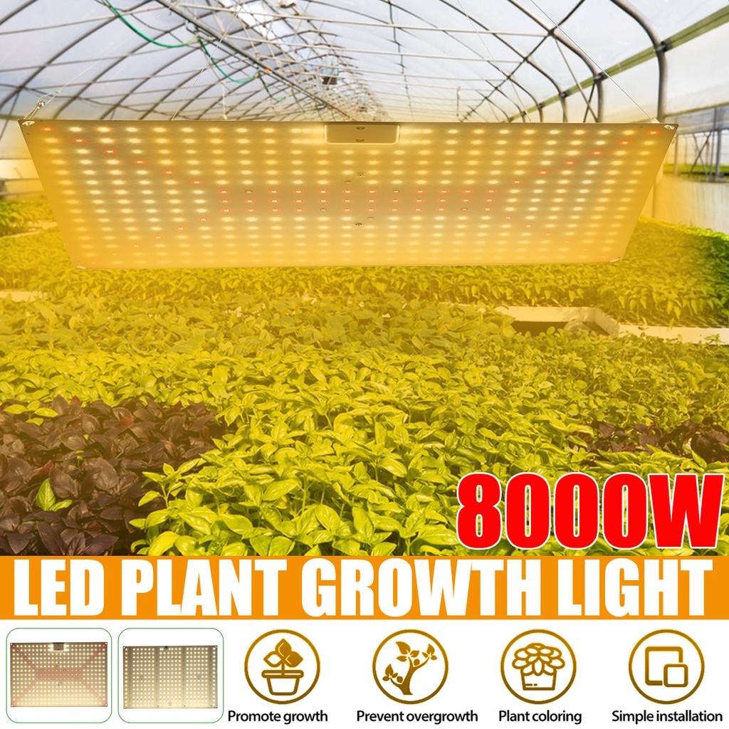 8000 Вт Светодиодная лампа полного спектра Ультратонкий светильник для выращивания Светодиодная лампа для растений Теплицы Комнатная фитолампа Гроутент 45*30 см
