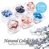 Dekorun Kobo Natural Color Shell Stone 6 Color Set Gel Nail Shell Shell Stone