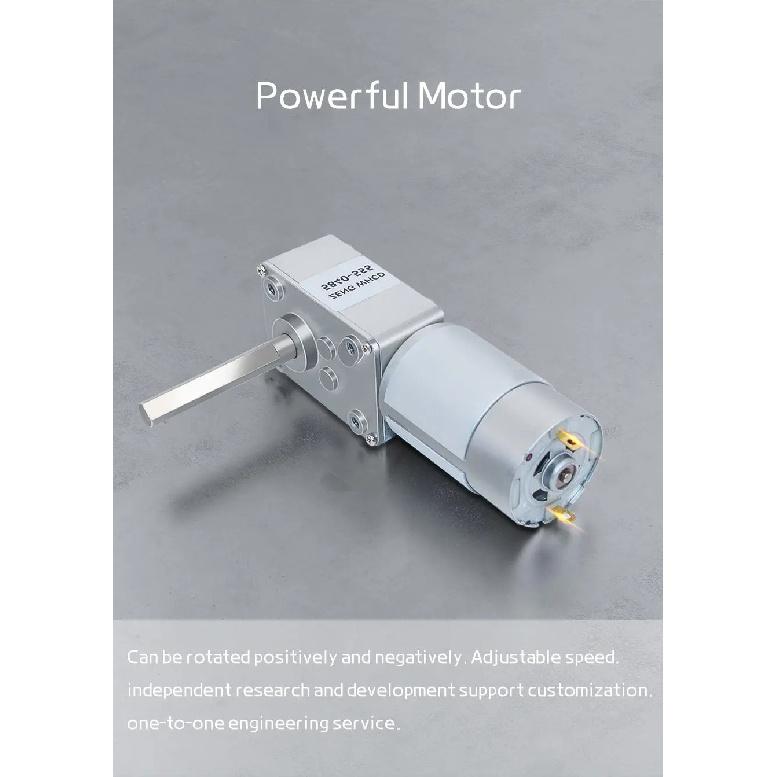 Micro Worm Gear Brushed Motor 5840-555 12v~24v Unidirectional Long D-type Shaft Forward And Reverse Gear Reduction Motor