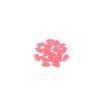 10mlPet Nail Covers Cat Nail Covers Dog Nail Covers Cat Covers Anti-Scratch Covers 20pcs Free Glue