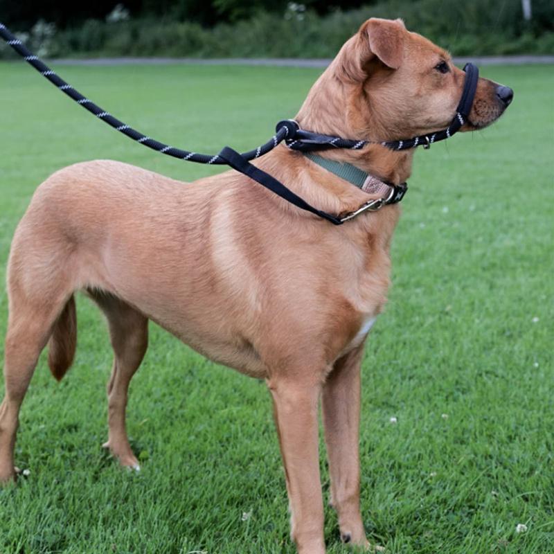 Adjustable Nylon Reflective Dog Leash with Anti-Bite Muzzle, Anti-Pull Explosion-Proof Traction Rope for Medium Large Dogs