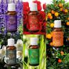 Эфирное масло Exotic Aromas - Масло лаванды, Масло лемонграсса, Масло жасмина, Масло апельсина, Масло розы (Пакет из 5)