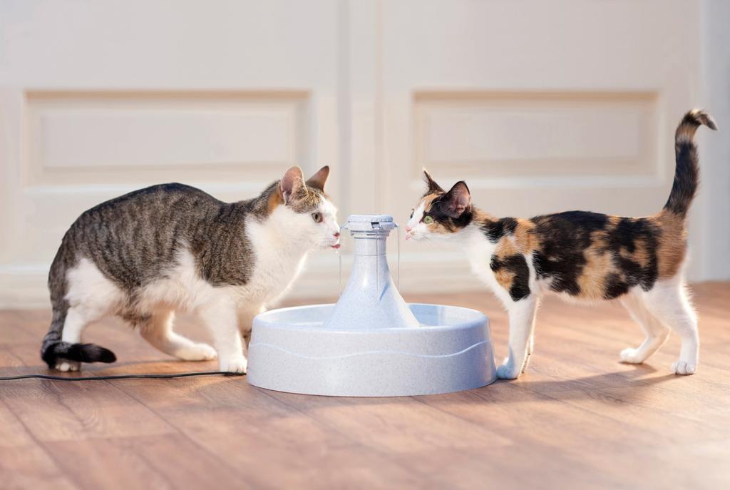 PetSafe Автоматическая поилка для собак и кошек Drinkwell 360 Pet Fountain