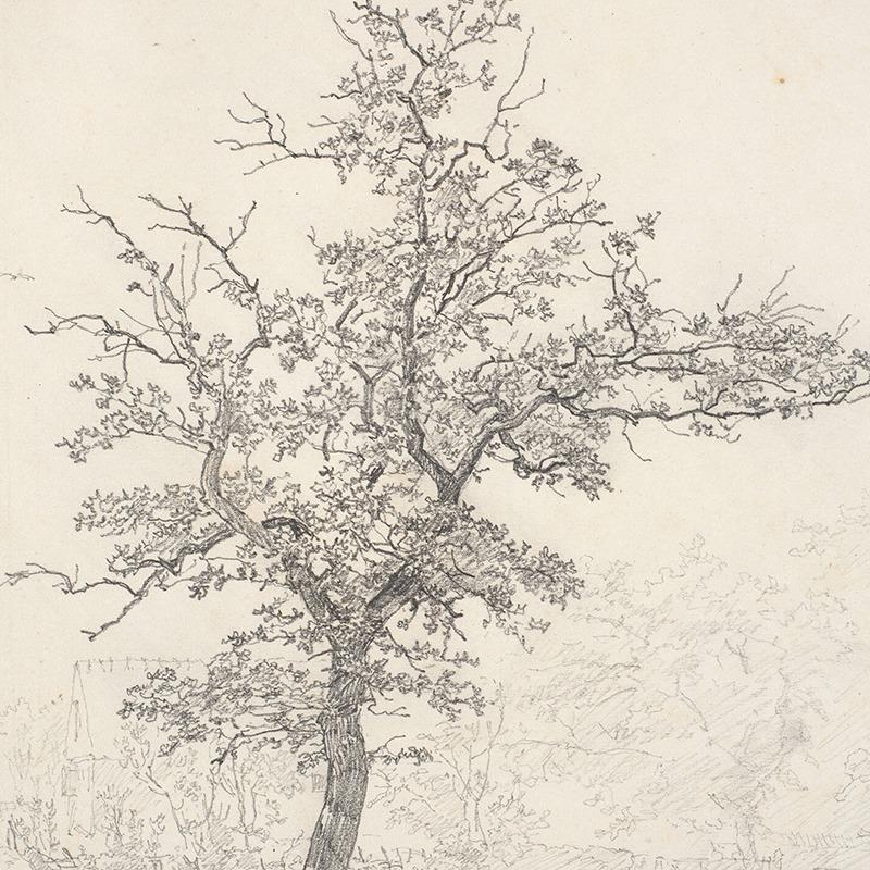Эскиз дерева Винтажный рисунок Картина на холсте Фермерский дом Деревенский настенный рисунок Картина Антикварный ботанический постер Печать Декор для гостиной