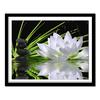 DIY Diamond Embroidery Flowers Diamond Painting Full Round Embroidery Cross Stitch Lotus Diamonds