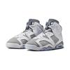 Jordan 6 Ретро Cool Grey GS 384665-100