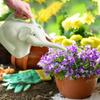 Слоник лейка детская для дома, патио, газона, садоводства, полива растений, уличная, милая, мультяшная, пластиковый горшок для полива