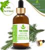 Чистые травы Бальзамическая пихта Abies Balsamea 100% Чистое и натуральное эфирное масло ZA 206