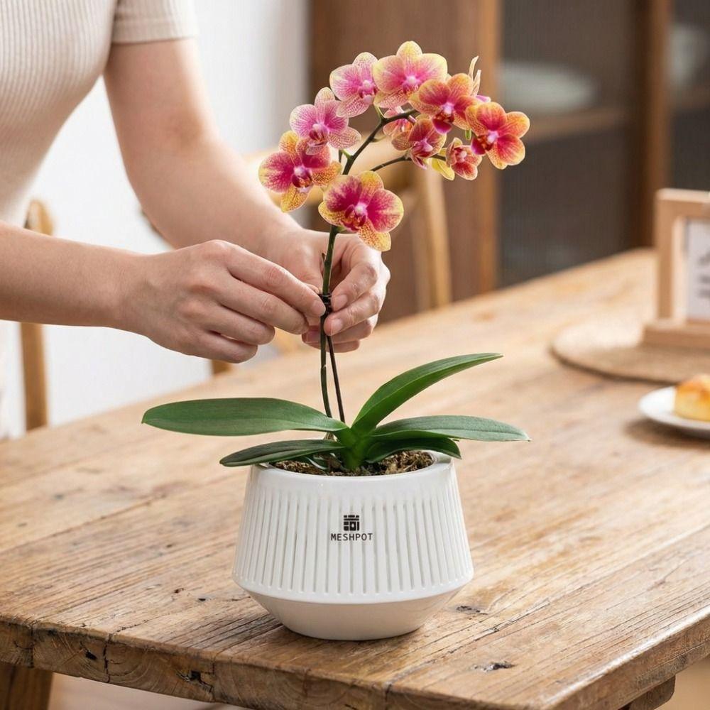 Увлажняющий Горшок-сетка для Орхидей Утолщающий Контроль Корней Цветочный Горшок Садоводство Посадка