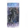 Aliens Classic Alien Warrior