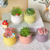 6 шт./набор цветных цветочных горшков для суккулентных растений, керамический горшок для кашпо, украшение для дома и офиса, горшок для бонсай