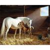 Round Horse Painting Full Diamond Diamond Embroidery Animals Picture 5d Diy Mosaic Rhinestone Home Decoration