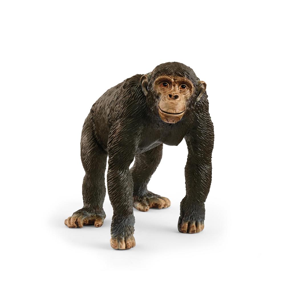 Schleich Wildlife Chimpanzee Ages Realistic Animal Toy 14883 Figure, 3+,