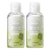 The Saem Healing Tea Garden Green Tea Lip & Eye Remover, 150ml, 2 Units