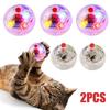 2Pcs Transparent Equipment Dog/Cat Motion Light Up Ball Pet Toy Flash Ball Ghost Hunting