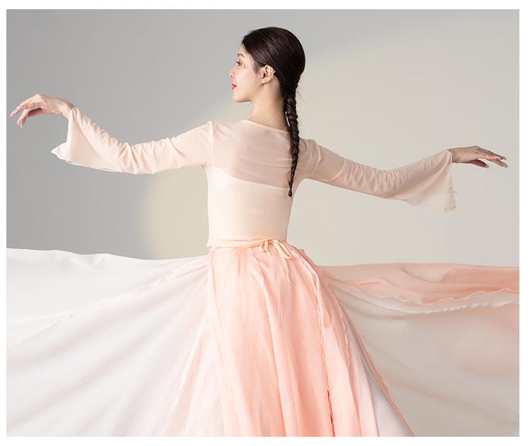 Костюм для китайского классического танца: Женский комплект из топа из сказочного газа и сетчатой юбки