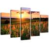 Five Piece Picture Canvas Print, Sunset Over a Meadow