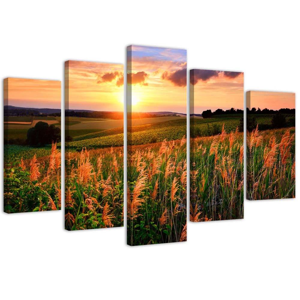Feeby Five piece picture canvas print, Sunset over a meadow