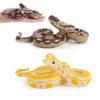 Wild Python Models Animals Models Python Model Toy Snake Toy Python Action Figure Simulation Python
