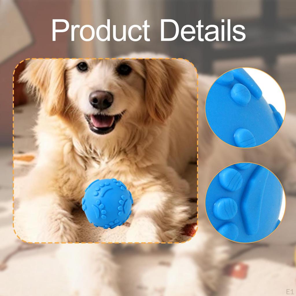 Dog Ball for Ing, Interactive Toy All Breeds