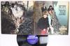 Виниловая пластинка ROLLING STONES Big Hits High Tide And Green Grass NPS1 LONDON 1966 US Rock Б/у