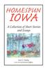 Книга Homespun Iowa by Lois G. Farley - Hardback