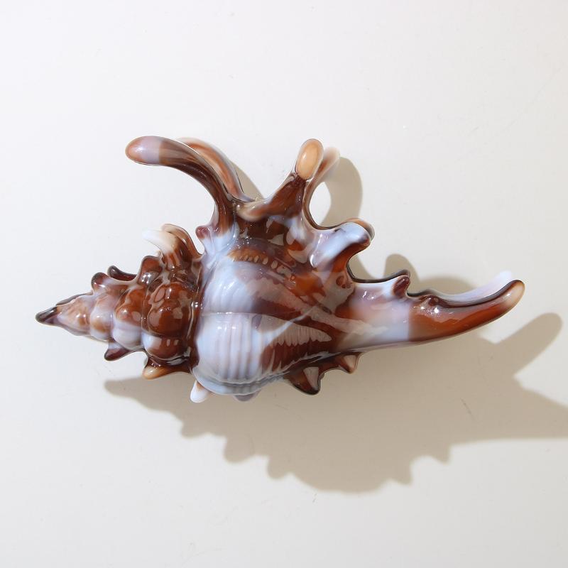 1 шт. Зажим-акула, заколка для волос в виде раскрашенной раковины, красочный аксессуар, обязательный для летних пляжных причесок