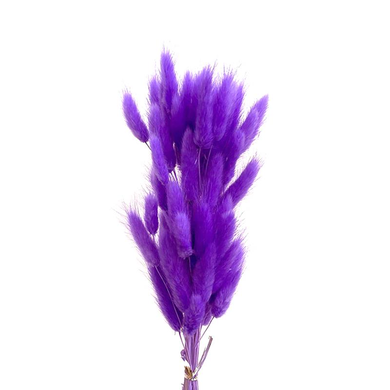 50 шт., букет из сухоцветов с изображением кролика и хвоста кролика, декор для свадебной вечеринки, пушистые пампасы, рождественская цветочная композиция своими руками