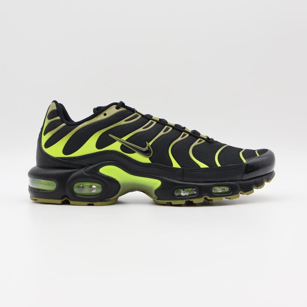 DM0032-010 Nike Air Max Plus Pacific Moss (Мужской)