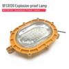 Промышленный светодиодный взрывозащищенный прожектор COSLGO BFC8120