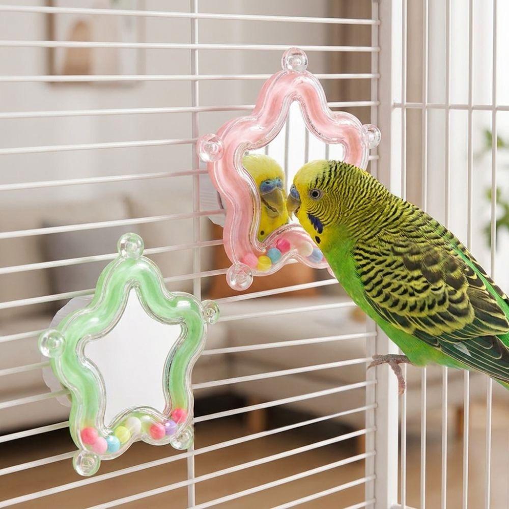 Spinner Rattle Bead Parrot Chew Spinning Toy Mirror Parrot Interactive Toy Bird Supplies