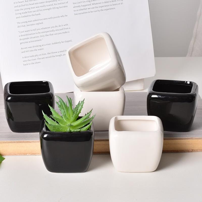 MOJY Minimalist Square Mini Flower Pot - 5 Pack