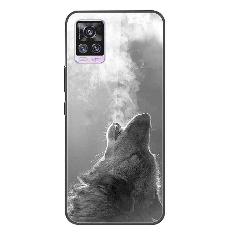 Glass Back Cover For Vivo V20 Pro 5G Case Coque Hard Tempered Glass Case For Vivo V20 Pro 2020 Phone Case Cover Soft Bumper Para